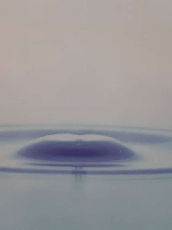 488869582_122096571716834778_6043704267392631251_n